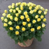 Корзина из 51 желтой розы №190