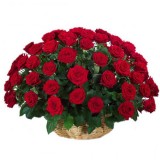 Корзина из 25 красной розы №188
