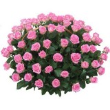 Корзина из 51 розовой розы №192